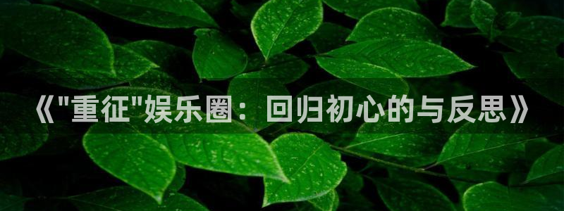 中泉君临国际酒店：《\